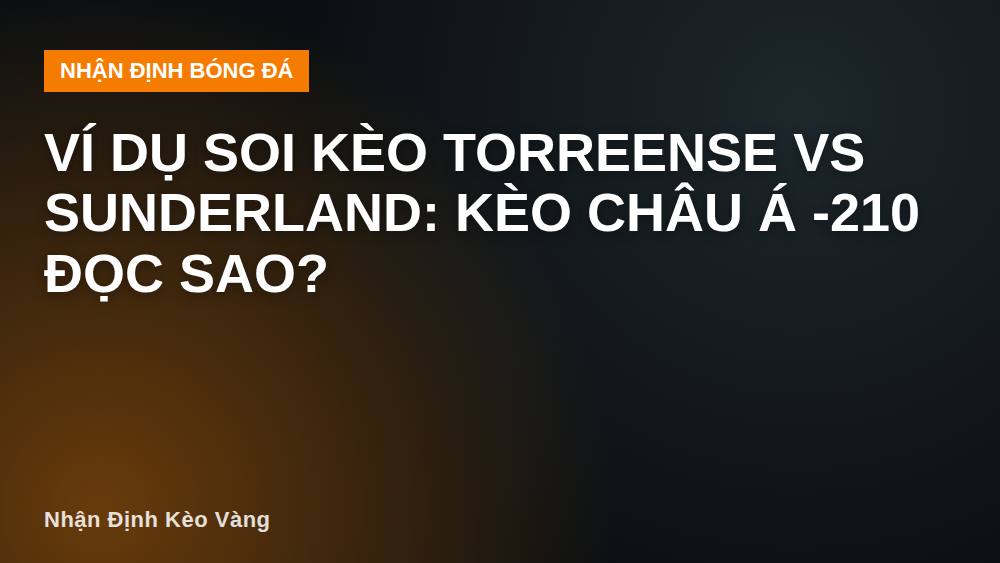 Ví dụ soi kèo Torreense vs Sunderland: kèo châu Á -210 đọc sao?